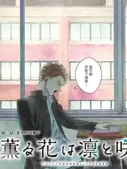 人文纪实综艺城市漫游者